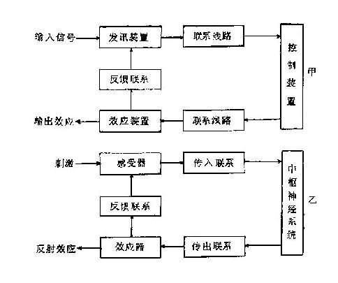 0031031710.jpg