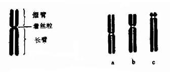 01001.jpg (10025 �ֽ�)