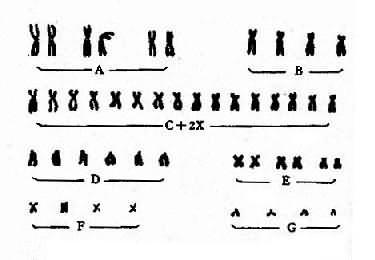 01101.jpg (24875 �ֽ�)