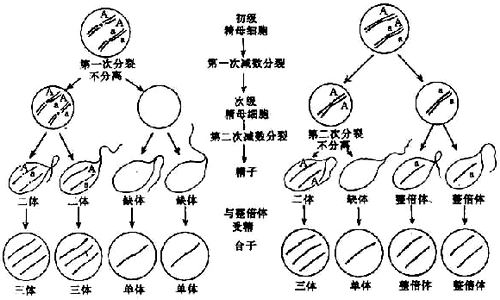 01401.jpg (79799 �ֽ�)