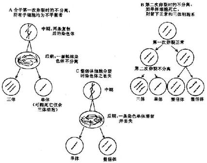 01501.jpg (68303 �ֽ�)