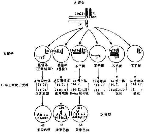 01701.jpg (80174 �ֽ�)