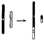 01702.jpg (6865 �ֽ�)