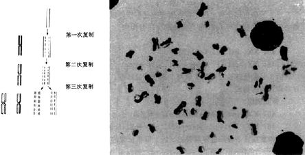 02001.jpg (56130 �ֽ�)