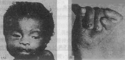 02501.jpg (25212 �ֽ�)