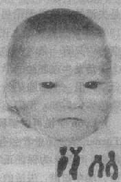 02502.jpg (15712 �ֽ�)