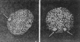 02701.jpg (20480 �ֽ�)