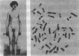 02702.jpg (18476 �ֽ�)