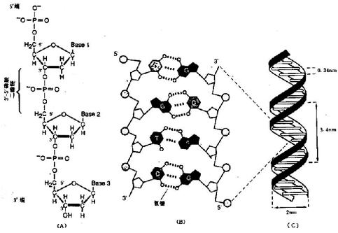03501.jpg (68681 �ֽ�)