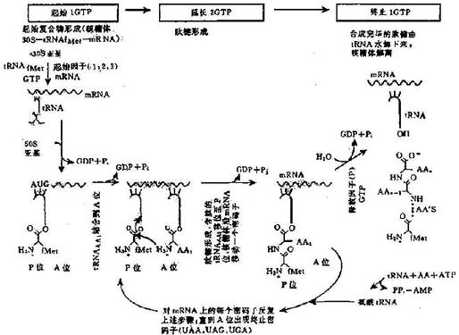 03801.jpg (93036 �ֽ�)