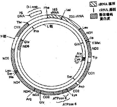 04201.jpg (68500 �ֽ�)