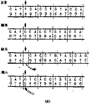 04402.jpg (58454 �ֽ�)