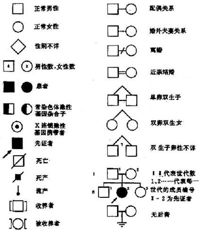 04801.jpg (56729 �ֽ�)