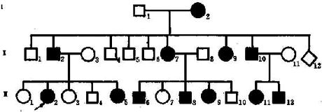 04901.jpg (33887 �ֽ�)