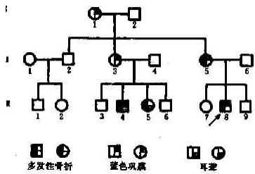 05101.jpg (25813 �ֽ�)