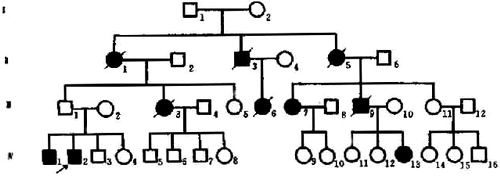 05102.jpg (35990 �ֽ�)