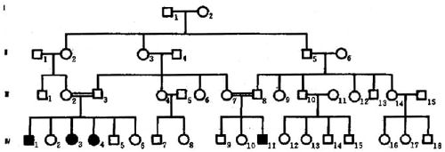05201.jpg (39450 �ֽ�)
