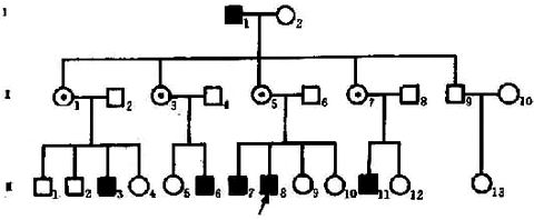 05301.jpg (32498 �ֽ�)