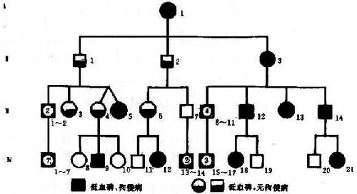 05501.jpg (47105 �ֽ�)