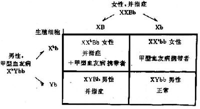 05601.jpg (34734 �ֽ�)