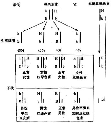 05701.jpg (52354 �ֽ�)