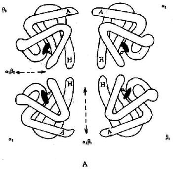 06001.jpg (60070 �ֽ�)