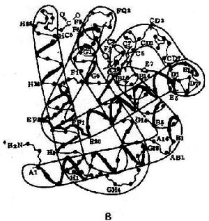 06002.jpg (75547 �ֽ�)