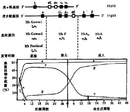 06101.jpg (60068 �ֽ�)