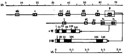 06102.jpg (42575 �ֽ�)