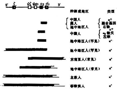 06501.jpg (35293 �ֽ�)