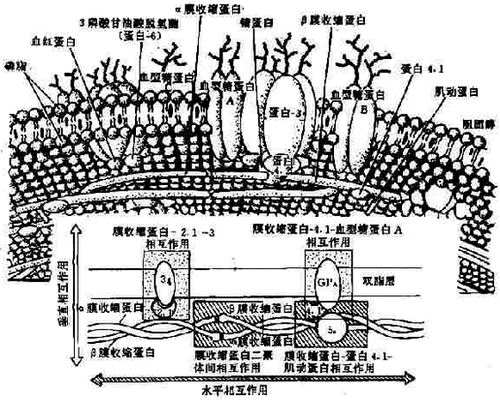07001.jpg (173000 �ֽ�)