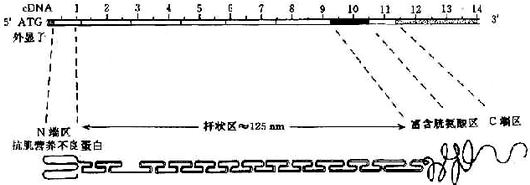 07101.jpg (40684 �ֽ�)