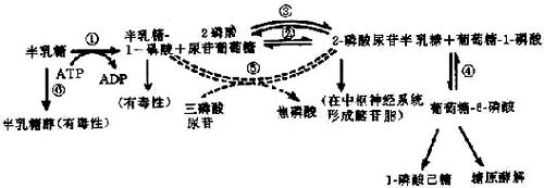 07602.jpg (34155 �ֽ�)