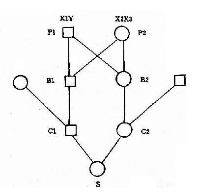 10001.jpg (24807 �ֽ�)