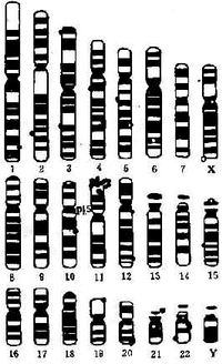 10501.jpg (53617 �ֽ�)