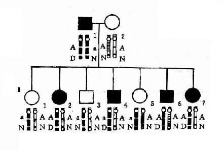 10701.jpg (31244 �ֽ�)