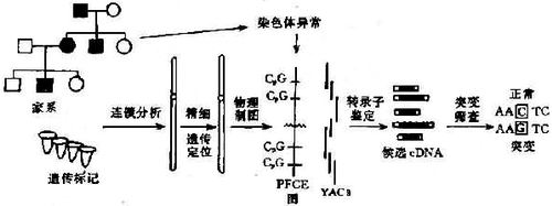 10801.jpg (38098 �ֽ�)