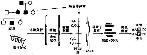 10801.jpg (38098 �ֽ�)