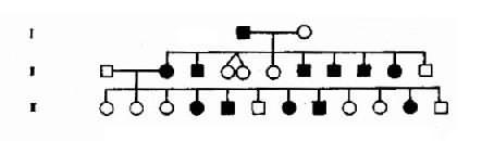 11701.jpg (12330 �ֽ�)