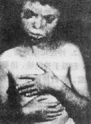 12001.jpg (18651 �ֽ�)