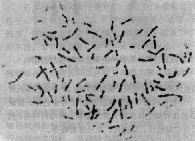 12101.jpg (39298 �ֽ�)