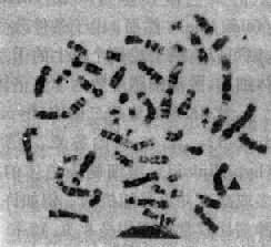 12201.jpg (25331 �ֽ�)