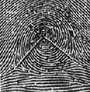 13405.jpg (22035 �ֽ�)