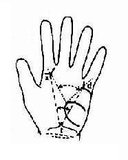 13501.jpg (15525 �ֽ�)