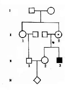 14801.jpg (13780 �ֽ�)