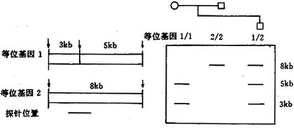 15902.jpg (20328 �ֽ�)