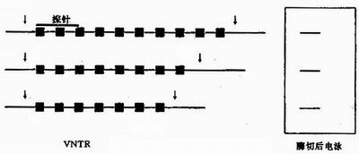 15903.jpg (18933 �ֽ�)