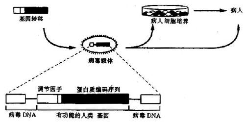 17001.jpg (32494 �ֽ�)