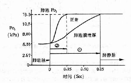 人口肺膜_体外膜肺氧合图片