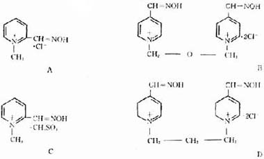 第三军医大学第二附属医院-新桥医院